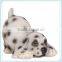 Resin Dalmatian Figurine Dalmation Statue Lucky Dog Statue
