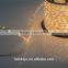 RGB 50M 110V 2-Wire Waterproof LED Rope Light for Decorative Lighting