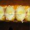 HDA 1.8 Fresh Royal Jelly