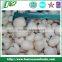 good taste IQF lychee meat ,chinese fresh frozen peel lychee fruit 2016 new crop