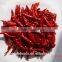 tianying/chaotian small dried chili