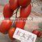 High yield high quality high resistant tasty Tomato and bright red Cherry tomato seeds for planting