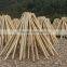 natural bamboo cane ,pole for decoration structure and furniture