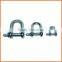 Factory price customized stainless steel 304 long d shackle