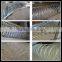 450mm/730mm/980mm Razor Wire/Galvanized Razor Barbed Wire price