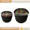 2 Gallon Smart Plant Pots Tomato Planter Garden Products