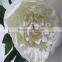 SJ20170060 artificial white silk fabric peony flower for indoor decoration