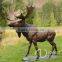 Art Garden Decor Life Size Bronze Casting Bull Moose Statue for Large Garden Decoration