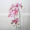 Plastic butterfly orchid artificial butterfly orchid decorative flowers for Promotion