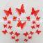 Butterfly removable home wallpaper Art DIY kids room decoration 3d wall stickers