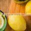Hot sale Chinese fresh lemon