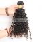 New arrival factory price top quality 7A Virgin Hair kinky curl Human Hair Weaving
