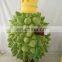 Best selling CE customed Durian mascot costume for adults