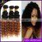 Ombre Hair Extensions Brazilian Virgin Hair Deep Curly 3Pcs Brazilian Ombre Curly T1B/30 Hair Extension Dropship 10-26INCH