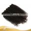 Brand New! Unprocessed Malaysian india best lady weaves virgin human hair kinky curly sixe girl hotbeauty