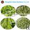 High speed auto green pea peeling machine with low damage