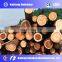 Good performance  hydraulic wood log debarking rounding machine for veneer peeling production line