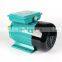 YL90L-2 Single Phase Induction Motor of Cast Iron Body And B3 Mounting 2200w