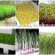 animal feed processing machine