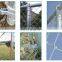 Wire Mesh Chain Link Fence Garden Fence