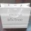 luxury shopping paper bag with handle