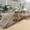 Commercial Vegetable Fruit Steam Cooking Blanching Sterilization Machine