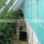 High Quality Wholesale Price Black Doubled Side Sticky Traps For Flying Insect In Greenhouse