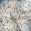 Promotion of New Crop 10 * 10MM IQF Fresh  frozen Burdock silk