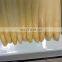 High Quality Canned White Asparagus