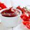 Tomato paste processing machine/tomato paste processing line