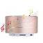 OEM Factory Professional BT Tws Speakers Marshal Custom Logo Mini Portable Speaker