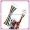 1.0Pitch Rainbow Wire 20 Pin Wire To Wire Custom Cable Assembly