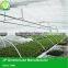 Popular Vegetable Tunnel Greenhouse