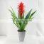 HIgh simulation ginger flower tropical plants artificial plants screen