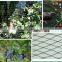 China supplier bird netting / hdpe agricultural net / anti bird netting