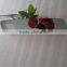 Semi transparent car rearview mirror