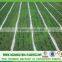 PP spunbond nonwoven fabric UV agriculture nonwoven fabric protect greens