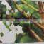 Hardcover Photo Album Print, Professional Print Company for Top Model Book