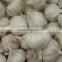 2014 new crop white garlic 5.0cm with low price