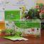 USDA Organic Instant Apple Green Tea Extract Green Flavor Tea Drink