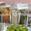 Rotary Premade Pouch Packing Machine for Raisins