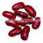 supplying CHINA red kidney beans