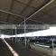 Light Steel Structure Building Dairy Cow