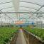 clear corrugated sheet FRP fiberglass roofing sheet