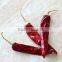 2016 New Dried Chili, Export Chili Pepper American Red Chili