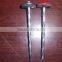 BWG9*2.5'' And 9G*2.5'' Galvanized Roofing Nails for Kenya & Turkey Market
