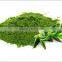 Ghritkumari Powder Indian herbs pure Natural