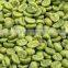 GMP Factory Supply Top Quality Green Coffee Bean Extract