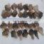 pickled oyster mushroom raw grey oyster mushroom price whole and sliced oyster mushroom