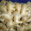 Chinese fresh ginger